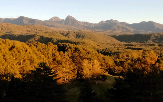 八ヶ岳黄葉、夕陽があたったところ